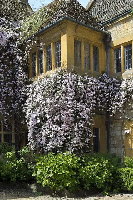 A beautiful house