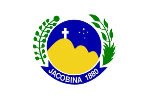 Vivo introduces FTTH franchising model in Brazil – Telecoms.com