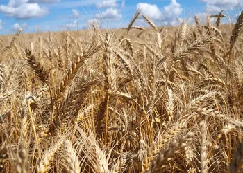 Indiana Gets Approval for $150 Million, 130 MW Wind Farm