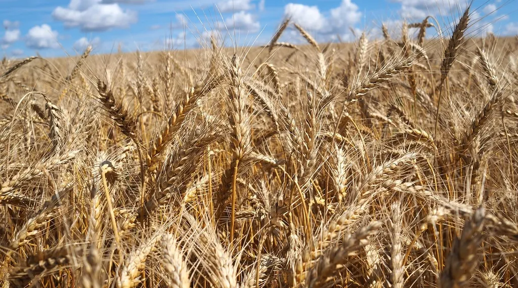 Indiana Gets Approval for $150 Million, 130 MW Wind Farm