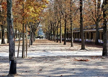 City Hall Park Is Still Under Lockdown, and Other News