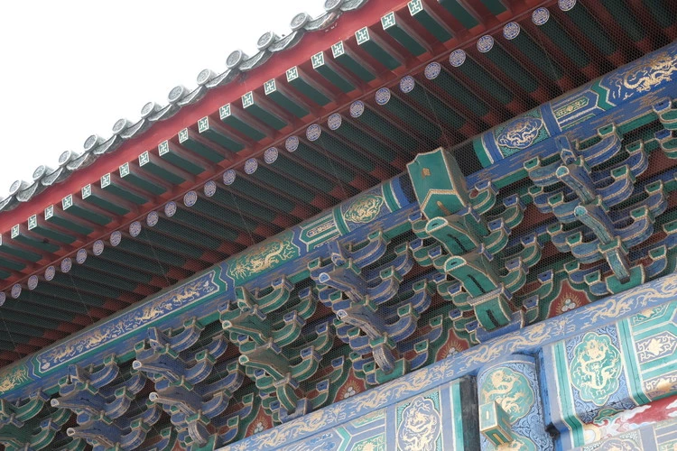 The Forbidden City roof detail. Image © Han Shuang