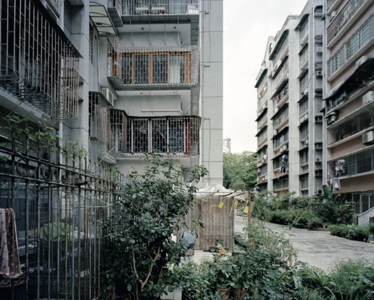 Photo of Jin Yuan's hometown in Xixiu Village, Guangzhou, Guangdong Province, China. Image © Sun Haiting