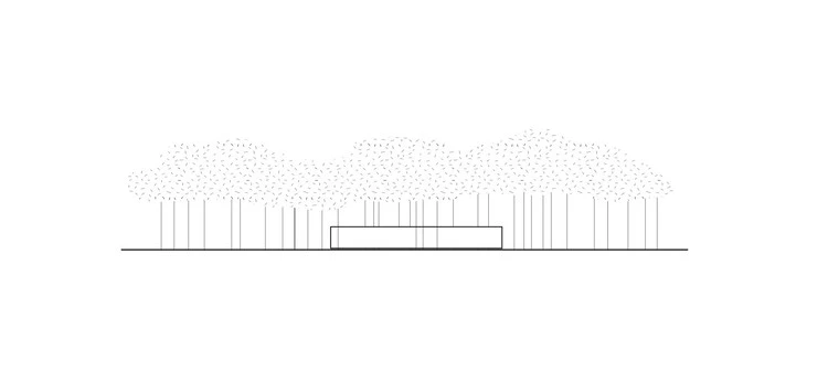 Horizontality diagram