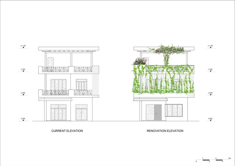 Elevation