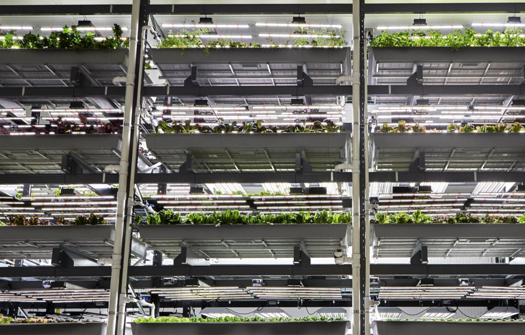 Bowery Farming Plans Hybrid Microgrid System for New Jersey Facility